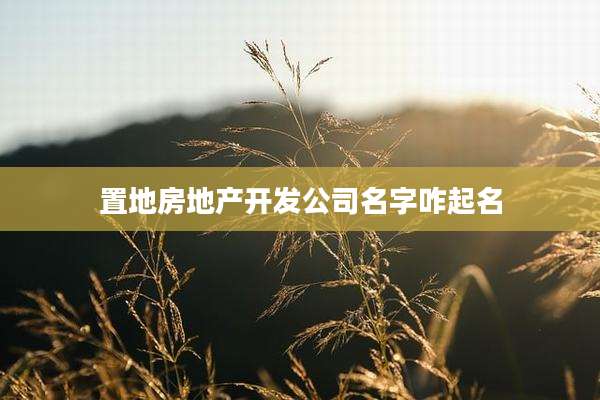 置地房地产开发公司名字咋起名