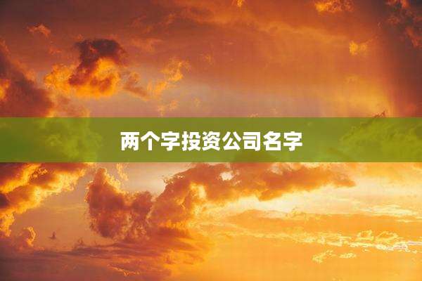 两个字投资公司名字