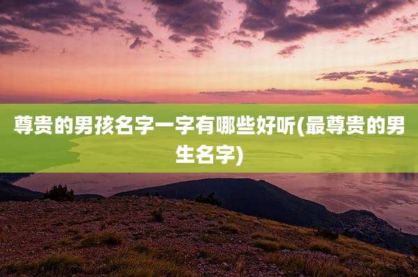 尊贵的男孩名字一字有哪些好听(最尊贵的男生名字)