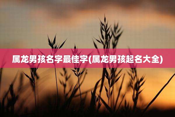 属龙男孩名字最佳字(属龙男孩起名大全)