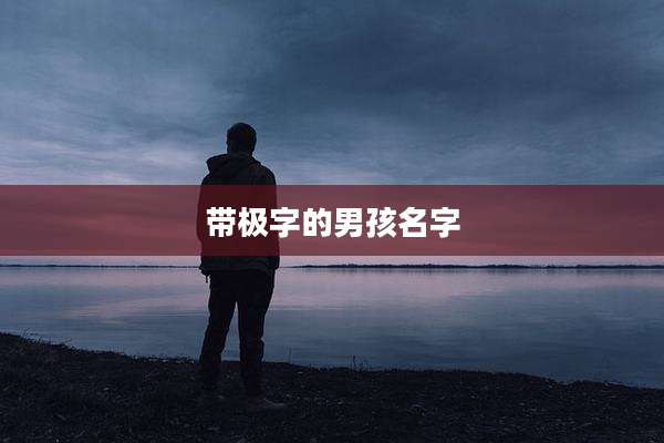 带极字的男孩名字