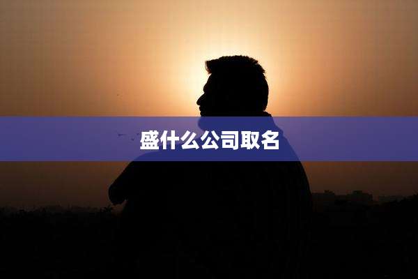 盛什么公司取名
