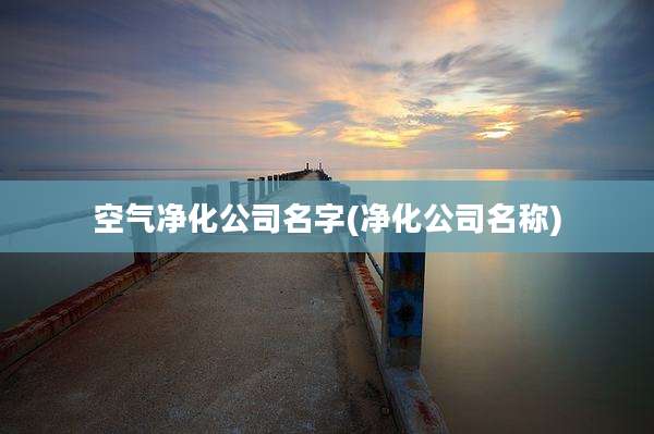 空气净化公司名字(净化公司名称)