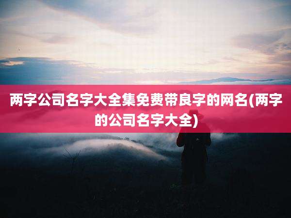 两字公司名字大全集免费带良字的网名(两字的公司名字大全)