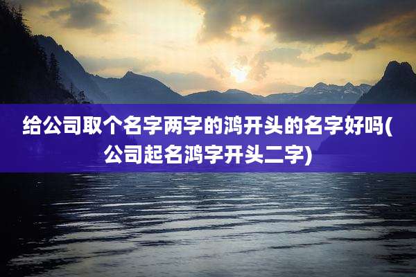 给公司取个名字两字的鸿开头的名字好吗(公司起名鸿字开头二字)