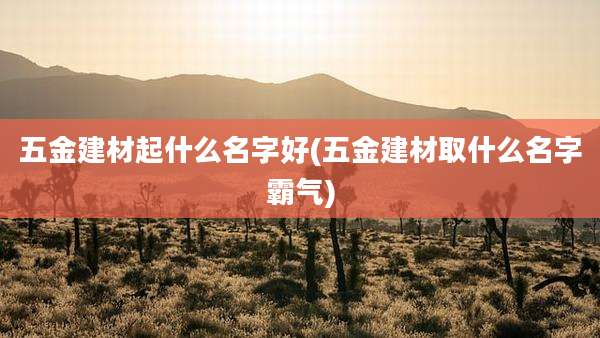 五金建材起什么名字好(五金建材取什么名字霸气)