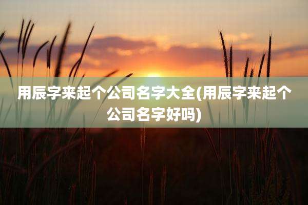 用辰字来起个公司名字大全(用辰字来起个公司名字好吗)