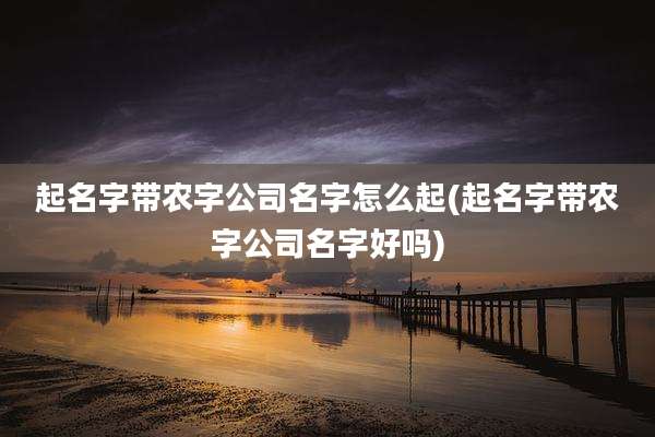 起名字带农字公司名字怎么起(起名字带农字公司名字好吗)