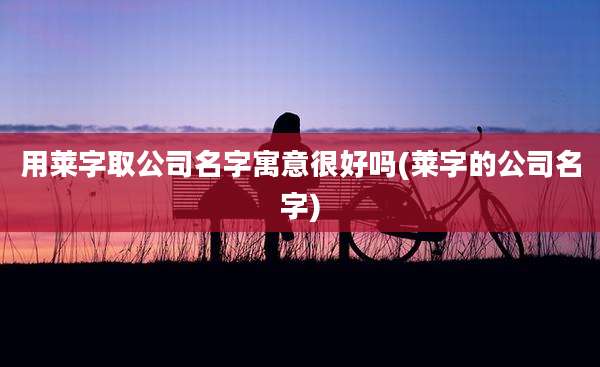 用莱字取公司名字寓意很好吗(莱字的公司名字)