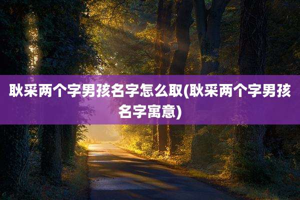 耿采两个字男孩名字怎么取(耿采两个字男孩名字寓意)