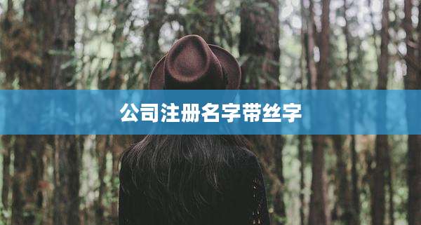 公司注册名字带丝字