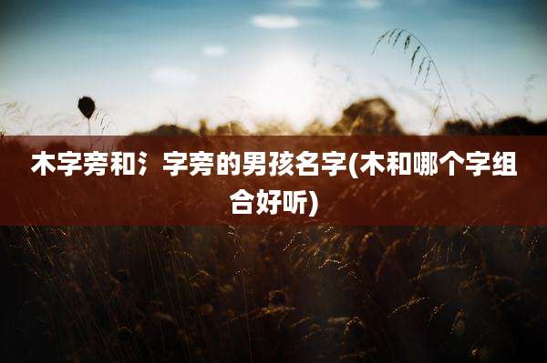 木字旁和氵字旁的男孩名字(木和哪个字组合好听)