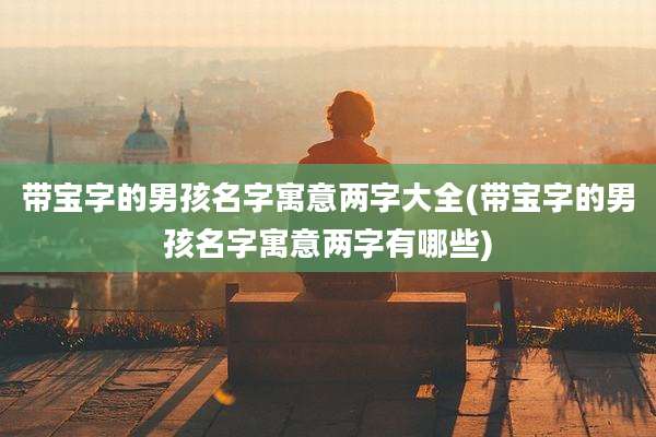 带宝字的男孩名字寓意两字大全(带宝字的男孩名字寓意两字有哪些)