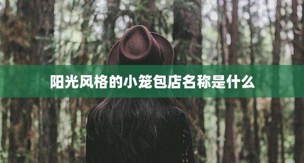 阳光风格的小笼包店名称是什么