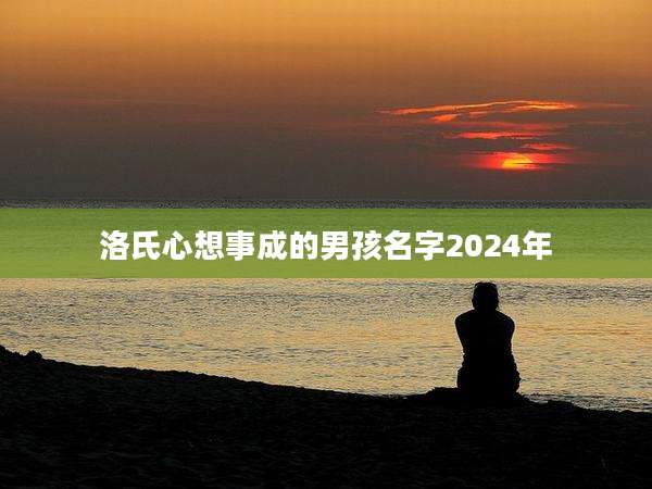 洛氏心想事成的男孩名字2024年
