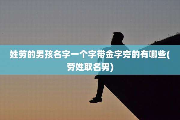 姓劳的男孩名字一个字带金字旁的有哪些(劳姓取名男)