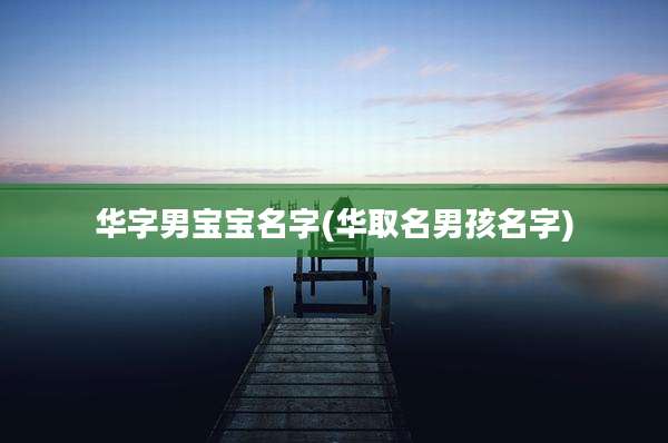 华字男宝宝名字(华取名男孩名字)