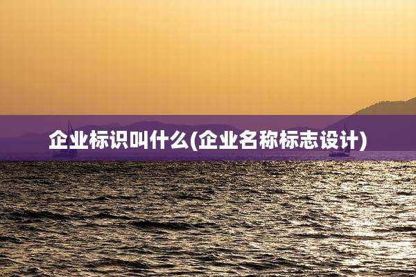 企业标识叫什么(企业名称标志设计)