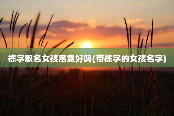 栋字取名女孩寓意好吗(带栋字的女孩名字)