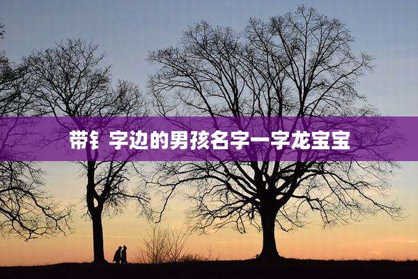 带钅字边的男孩名字一字龙宝宝