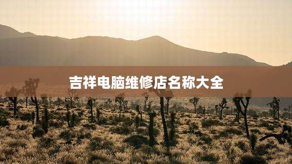 吉祥电脑维修店名称大全