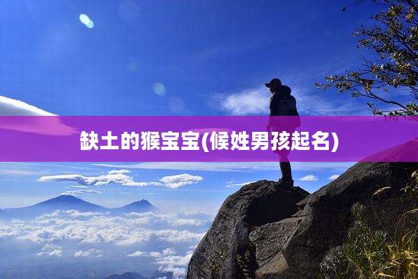 缺土的猴宝宝(候姓男孩起名)