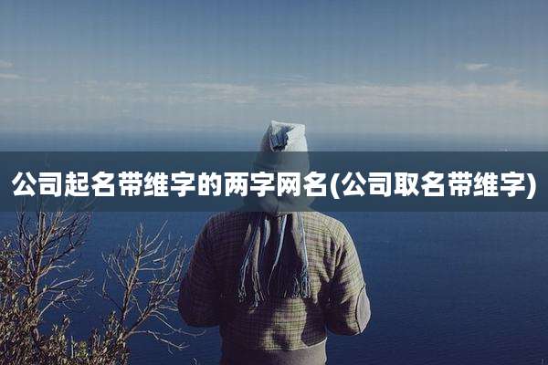 公司起名带维字的两字网名(公司取名带维字)