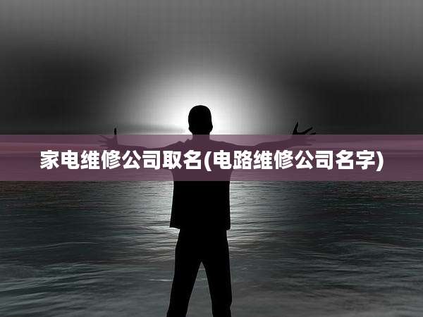家电维修公司取名(电路维修公司名字)