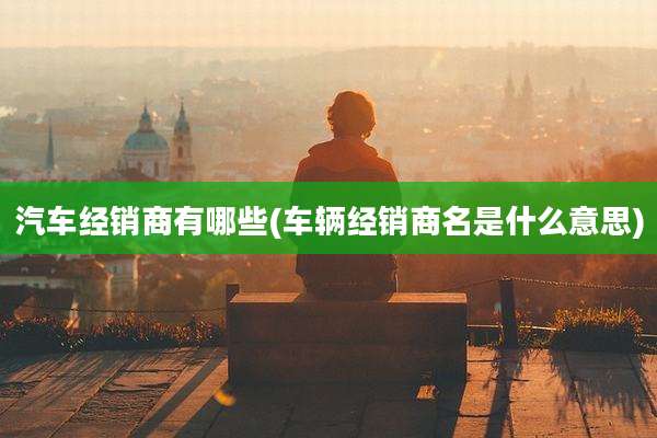 汽车经销商有哪些(车辆经销商名是什么意思)