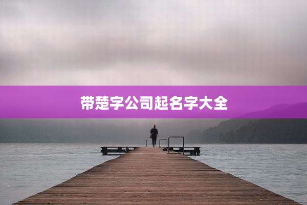 带楚字公司起名字大全