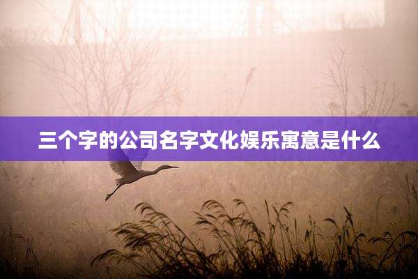 三个字的公司名字文化娱乐寓意是什么