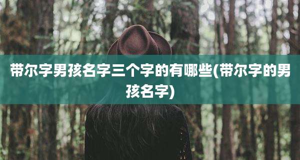带尔字男孩名字三个字的有哪些(带尔字的男孩名字)