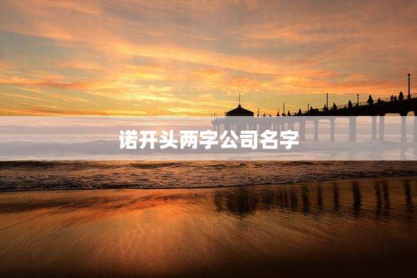 诺开头两字公司名字