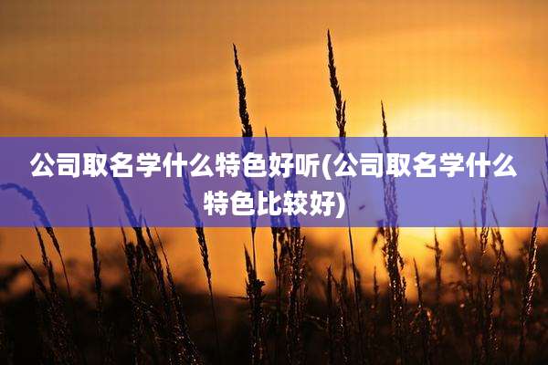 公司取名学什么特色好听(公司取名学什么特色比较好)