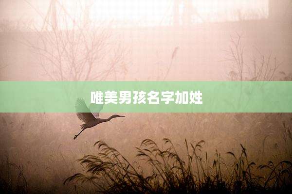 唯美男孩名字加姓