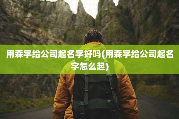 用森字给公司起名字好吗(用森字给公司起名字怎么起)