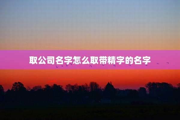 取公司名字怎么取带精字的名字