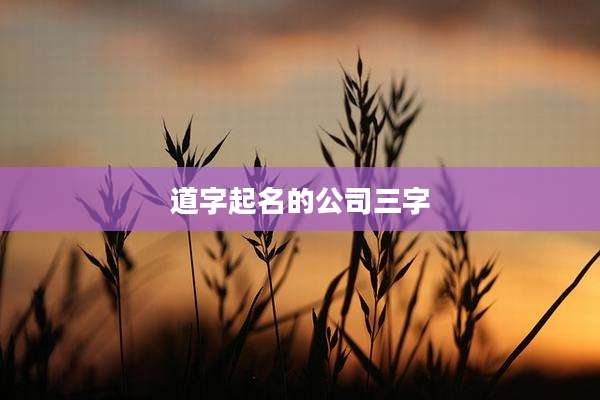 道字起名的公司三字