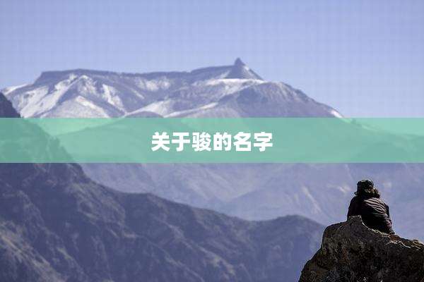 关于骏的名字