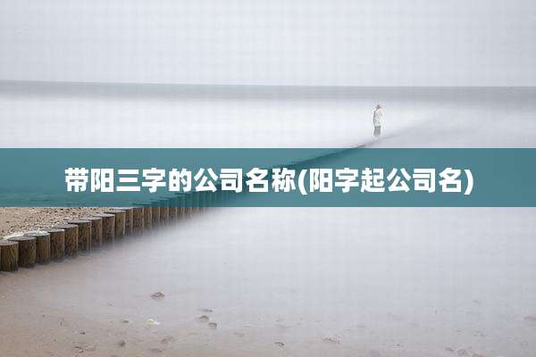 带阳三字的公司名称(阳字起公司名)