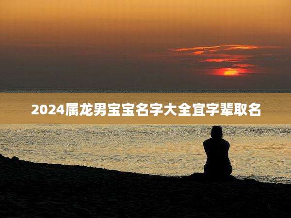 2024属龙男宝宝名字大全宜字辈取名