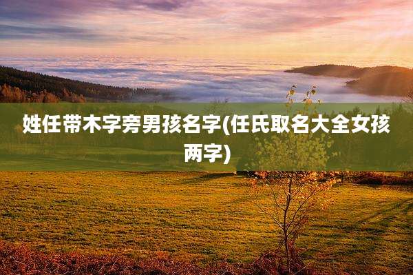 姓任带木字旁男孩名字(任氏取名大全女孩两字)