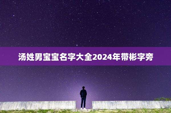 汤姓男宝宝名字大全2024年带彬字旁
