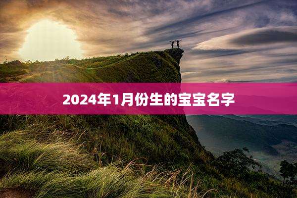 2024年1月份生的宝宝名字