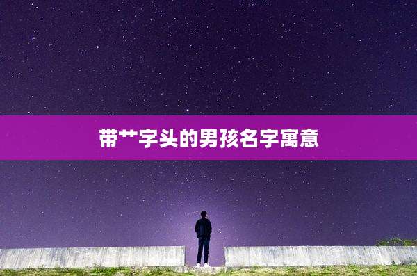 带艹字头的男孩名字寓意