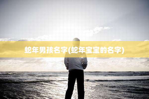 蛇年男孩名字(蛇年宝宝的名字)