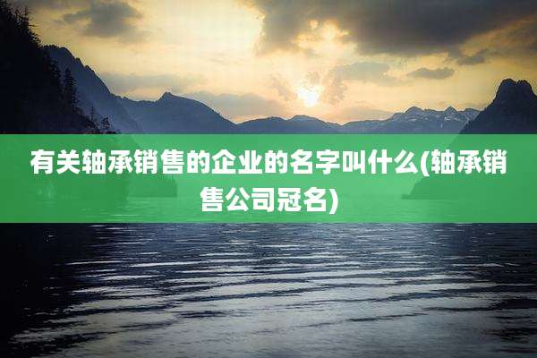 有关轴承销售的企业的名字叫什么(轴承销售公司冠名)
