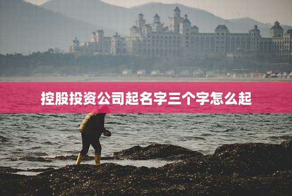 控股投资公司起名字三个字怎么起