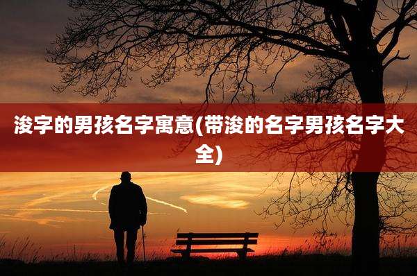 浚字的男孩名字寓意(带浚的名字男孩名字大全)