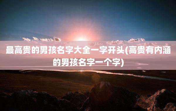 最高贵的男孩名字大全一字开头(高贵有内涵的男孩名字一个字)